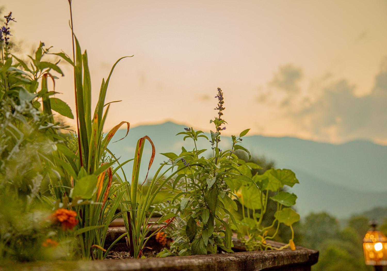 Вилла Mount Mitchell Eco Retreat Busick Экстерьер фото
